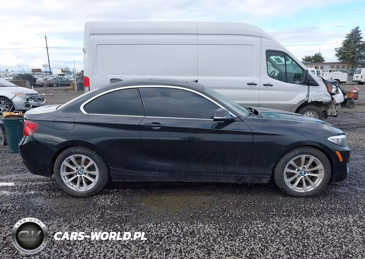 2016 BMW 228I VIN:WBA1F9C53GV544632 - 13