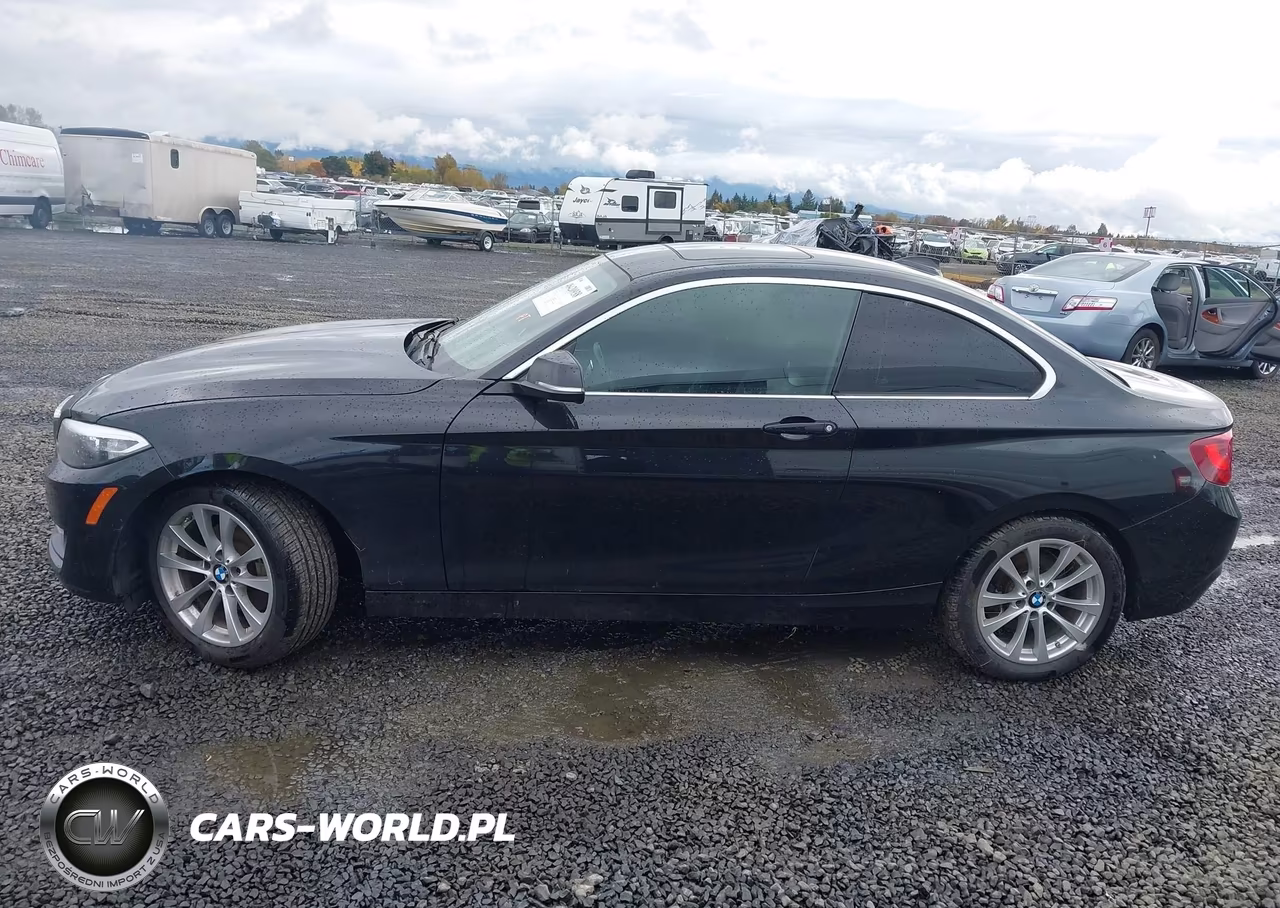 2016 BMW 228I VIN:WBA1F9C53GV544632 - 14