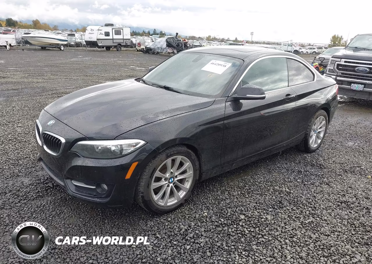 2016 BMW 228I VIN:WBA1F9C53GV544632 - 2