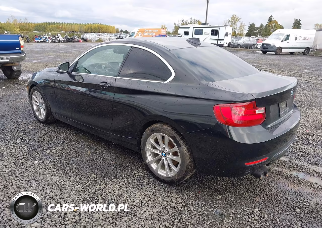 2016 BMW 228I VIN:WBA1F9C53GV544632 - 3