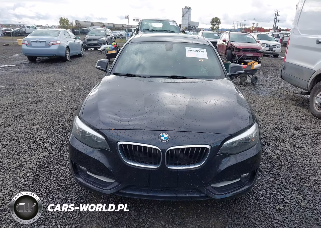 2016 BMW 228I VIN:WBA1F9C53GV544632 - 6