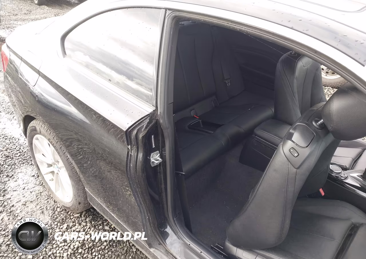 2016 BMW 228I VIN:WBA1F9C53GV544632 - 8