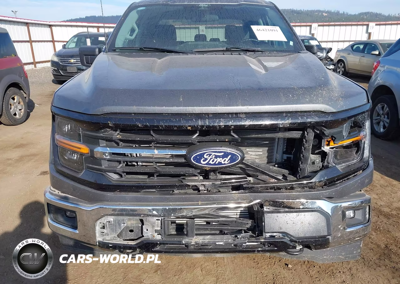 2025 Ford F-150 Xlt VIN:1FTFW3L89SKE86570 - 17