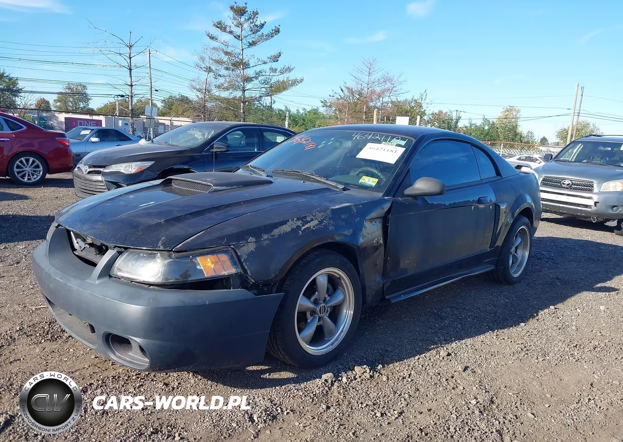 2003 Ford Mustang Gt VIN:1FAFP42X53F315911 - 2