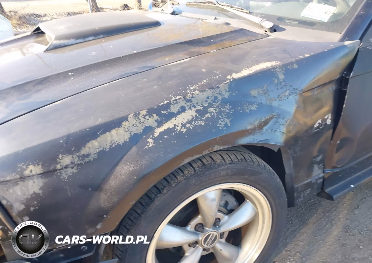 2003 Ford Mustang Gt VIN:1FAFP42X53F315911 - 6