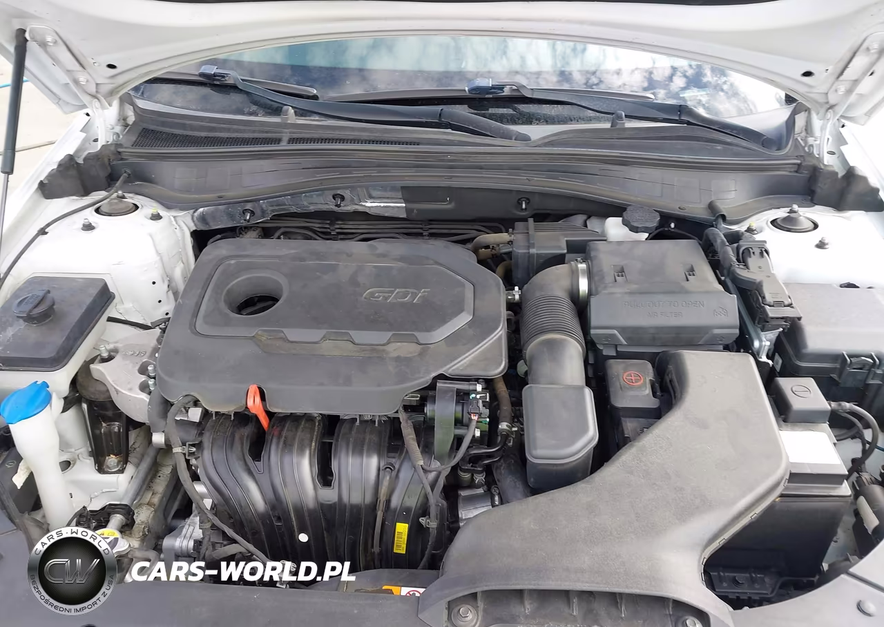 2020 Kia Optima Lx VIN:5XXGT4L38LG394191 - 10