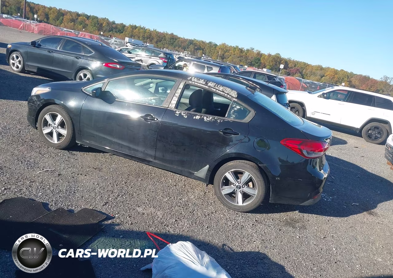 2018 Kia Forte Lx VIN:3KPFL4A70JE172817 - 3