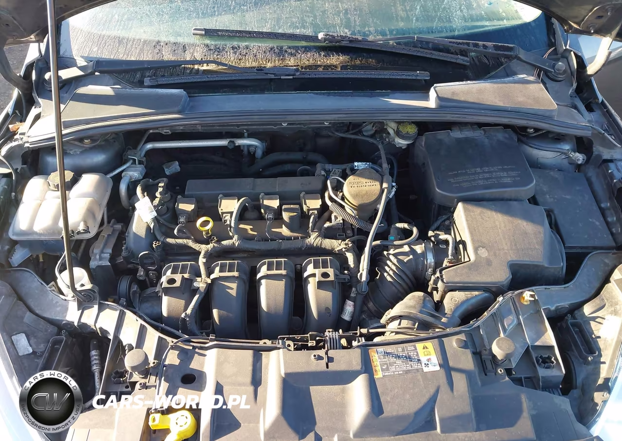 2016 Ford Focus Se VIN:1FADP3K22GL254191 - 10