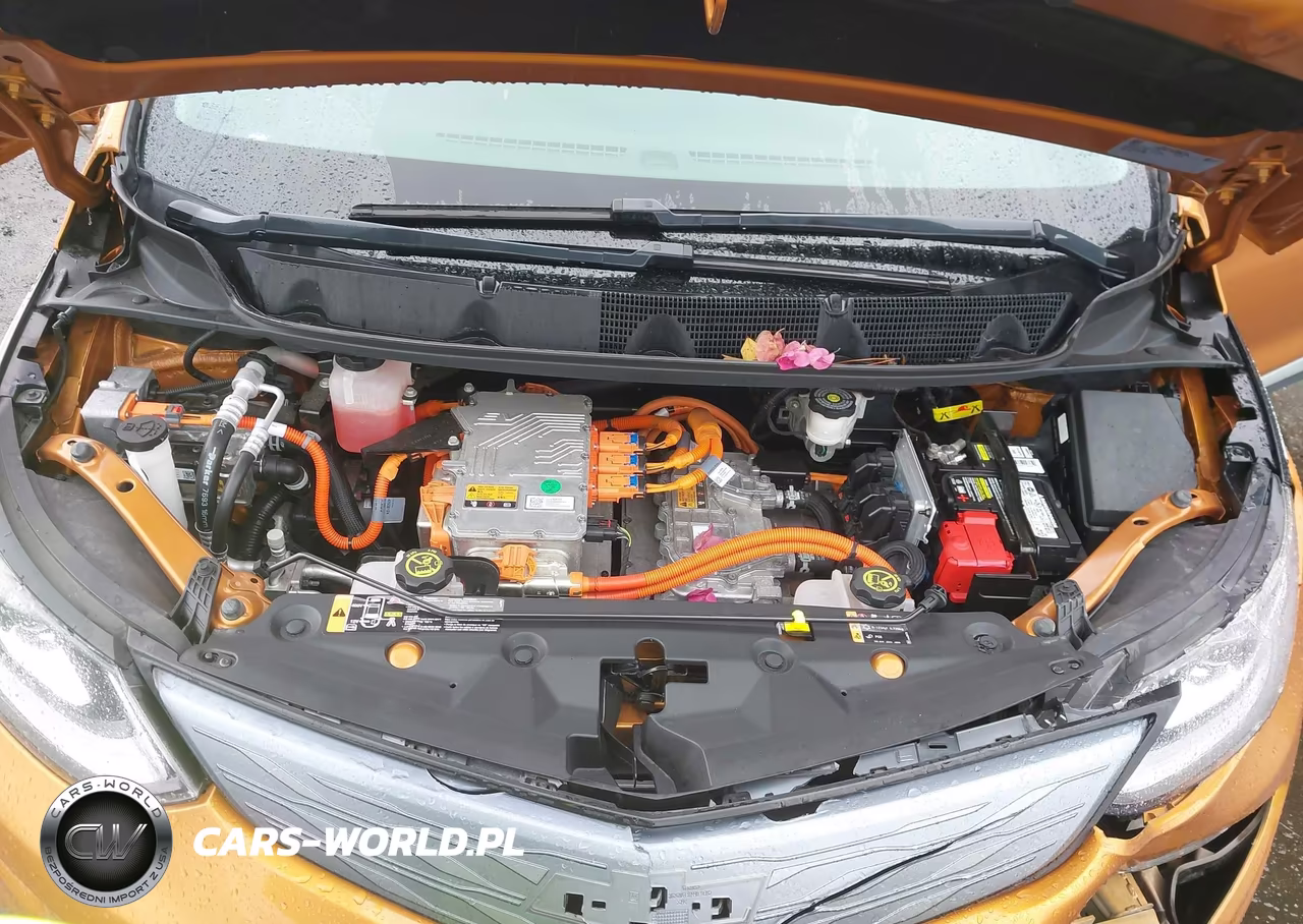 2017 Chevrolet Bolt Ev Premier VIN:1G1FX6S00H4127155 - 10