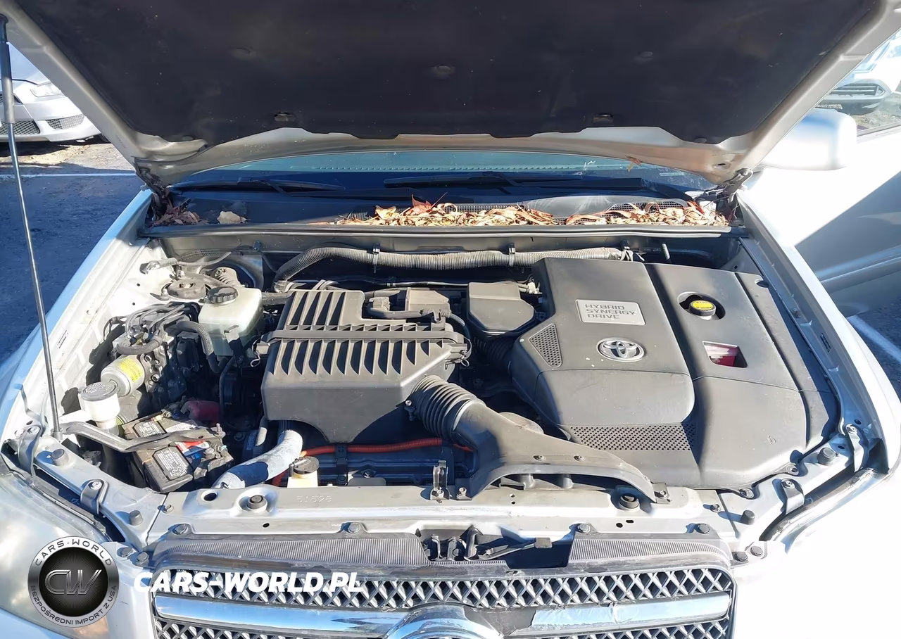 2007 Toyota Highlander Hybrid V6 VIN:JTEGW21A470020869 - 10