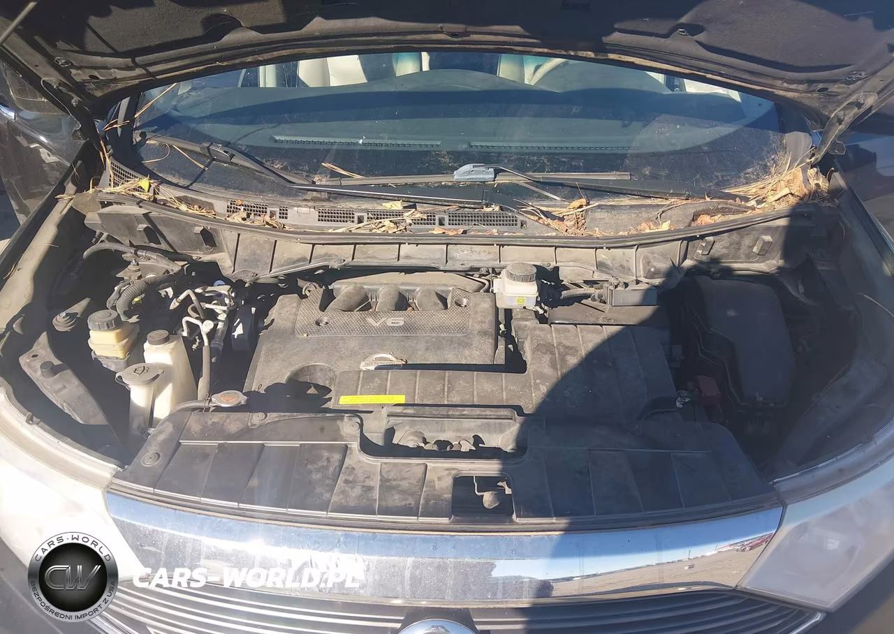 2015 Nissan Quest Platinum-S-Sl-Sv VIN:JN8AE2KP2F9131399 - 10