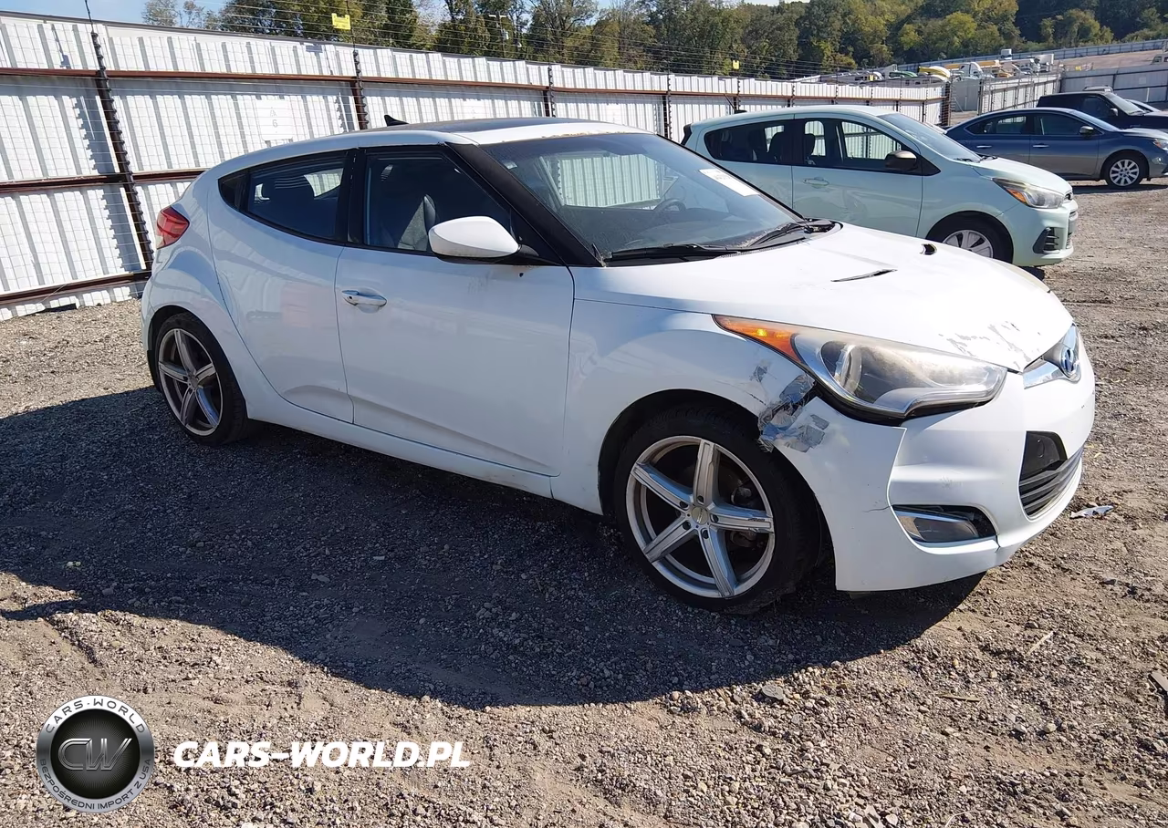 2013 Hyundai Veloster Base W-Black VIN:KMHTC6AD9DU105591 - 1