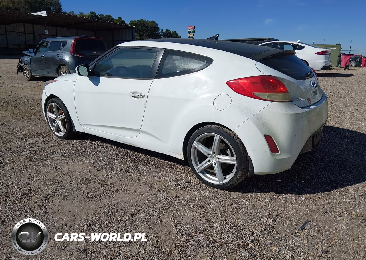 2013 Hyundai Veloster Base W-Black VIN:KMHTC6AD9DU105591 - 3