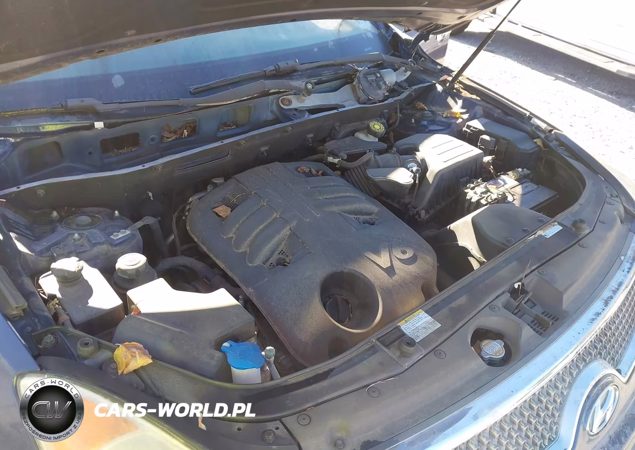 2008 Hyundai Veracruz Gls-Limited-Se VIN:KM8NU73C18U050673 - 10