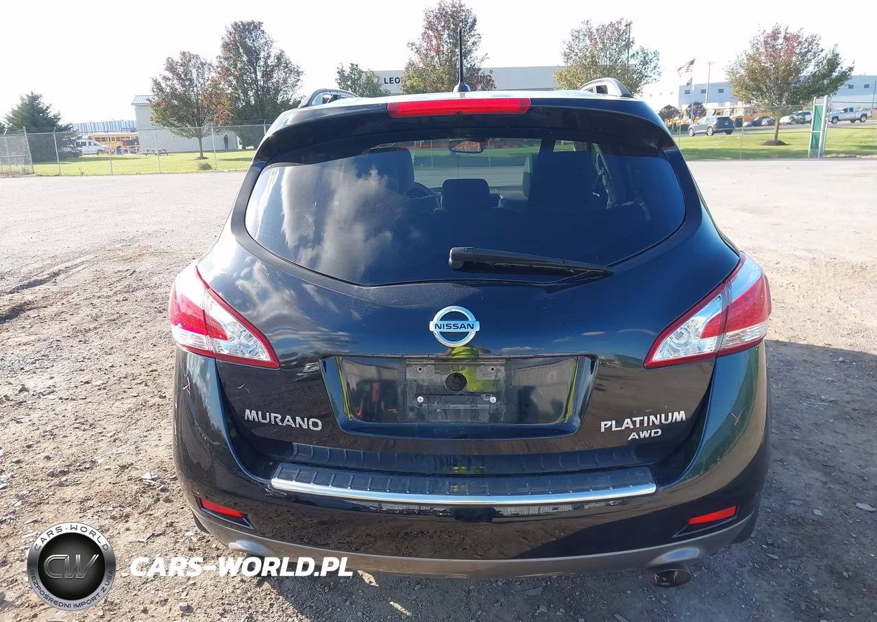 2013 Nissan Murano Le VIN:JN8AZ1MW7DW303931 - 17