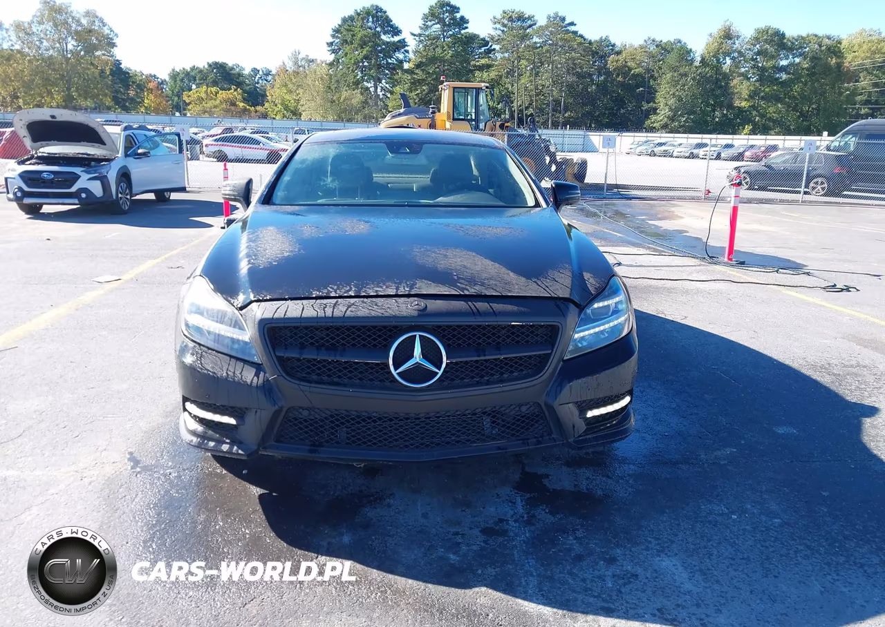 2012 Mercedes-Benz Cls 550 VIN:WDDLJ7DB4CA054789 - 12