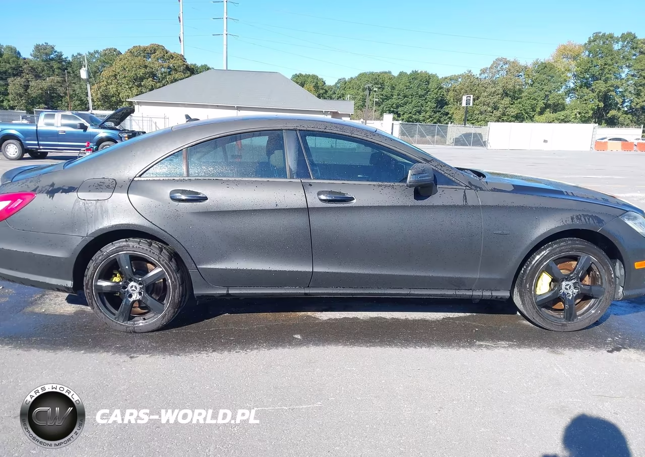 2012 Mercedes-Benz Cls 550 VIN:WDDLJ7DB4CA054789 - 13