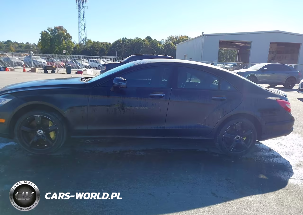 2012 Mercedes-Benz Cls 550 VIN:WDDLJ7DB4CA054789 - 14