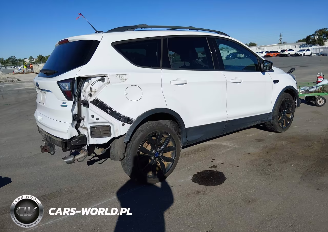2017 Ford Escape Se VIN:1FMCU0G96HUB57070 - 4