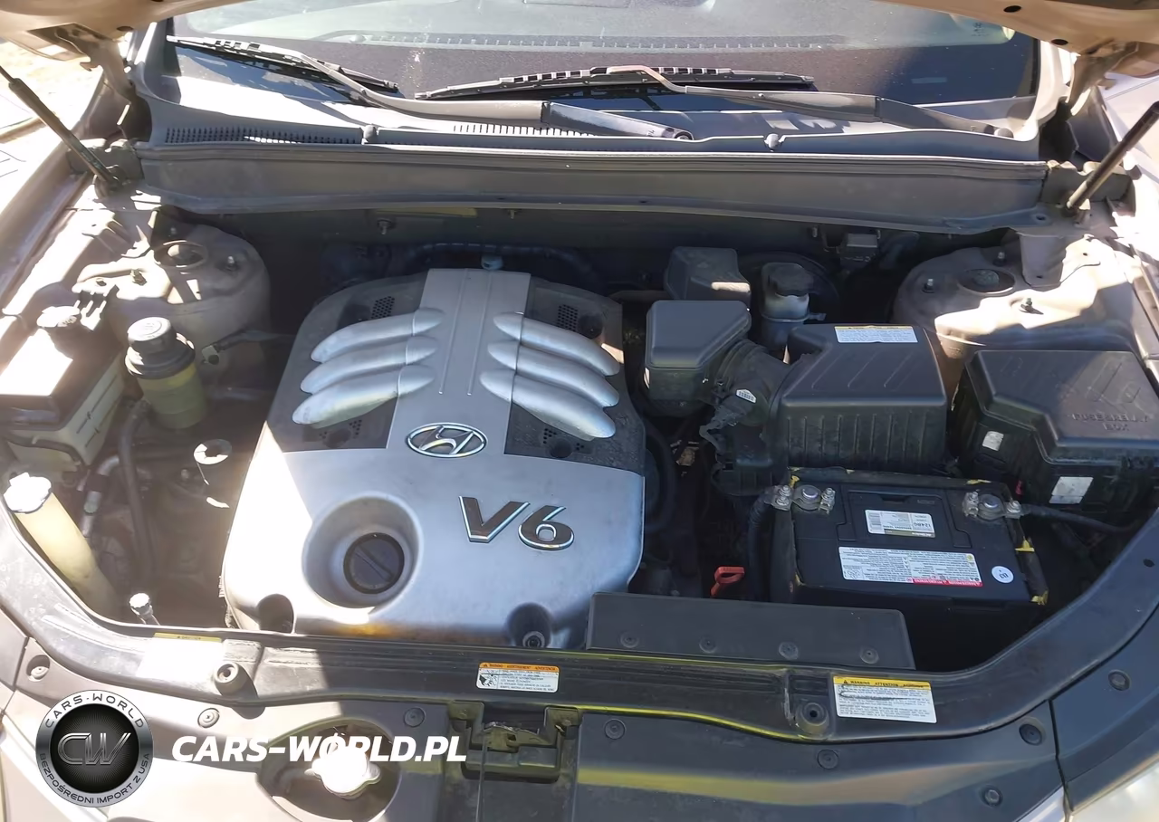 2007 Hyundai Santa Fe Limited-Se VIN:5NMSH13E37H020087 - 10