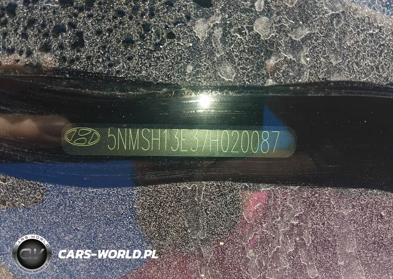 2007 Hyundai Santa Fe Limited-Se VIN:5NMSH13E37H020087 - 9