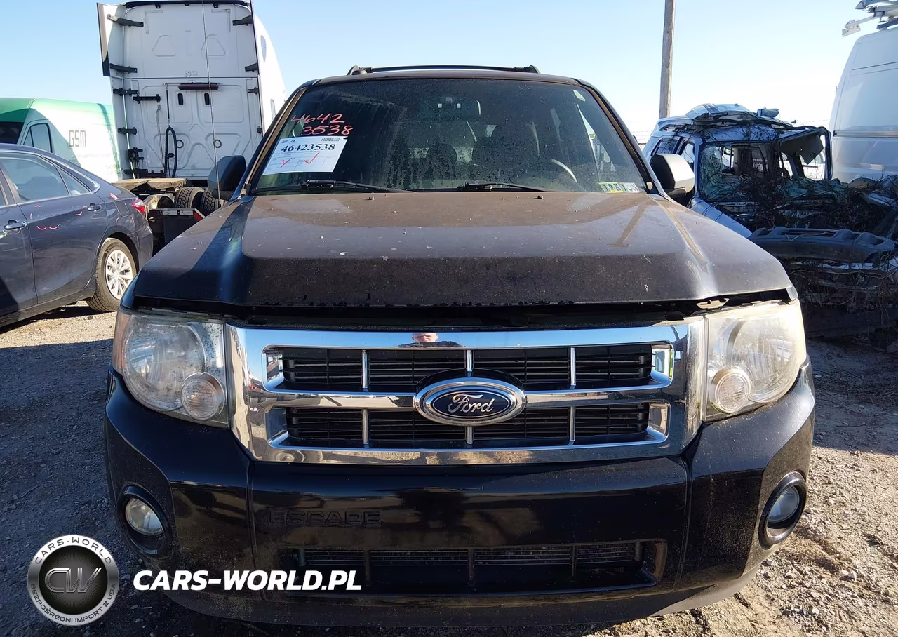 2009 Ford Escape Xlt VIN:1FMCU93G69KA34407 - 6