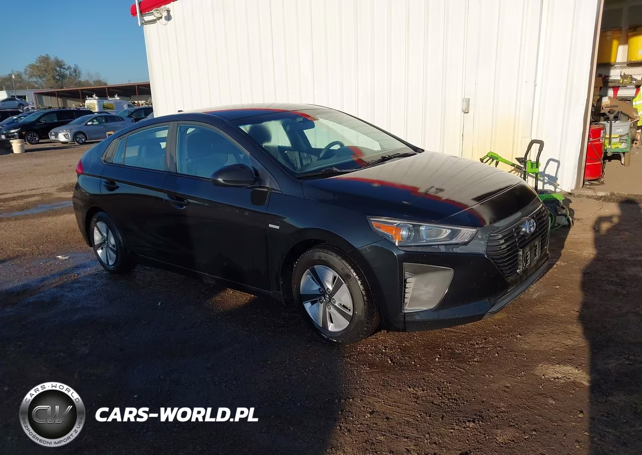 2019 Hyundai Ioniq Hybrid Blue VIN:KMHC65LC4KU156855 - 1