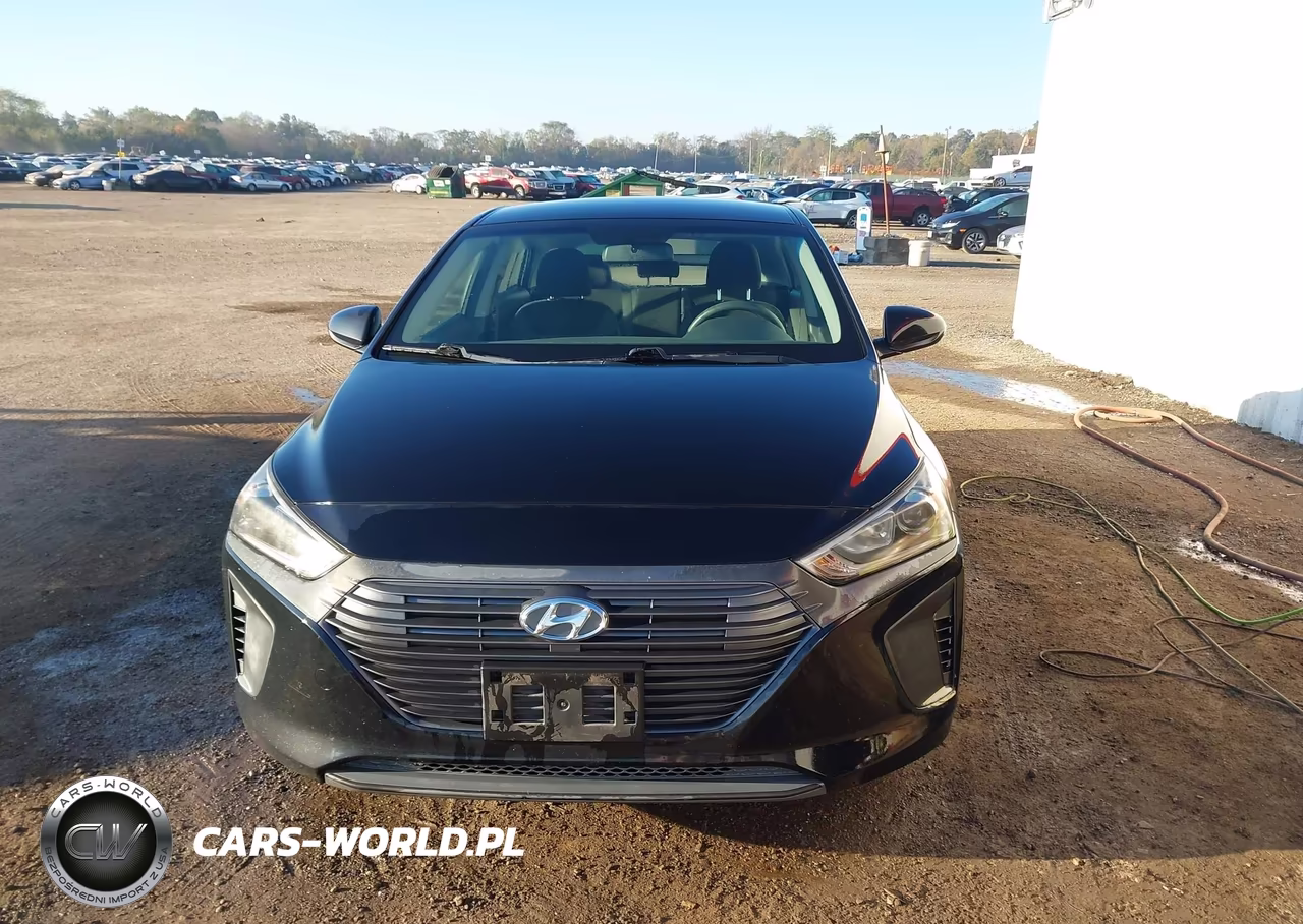 2019 Hyundai Ioniq Hybrid Blue VIN:KMHC65LC4KU156855 - 12