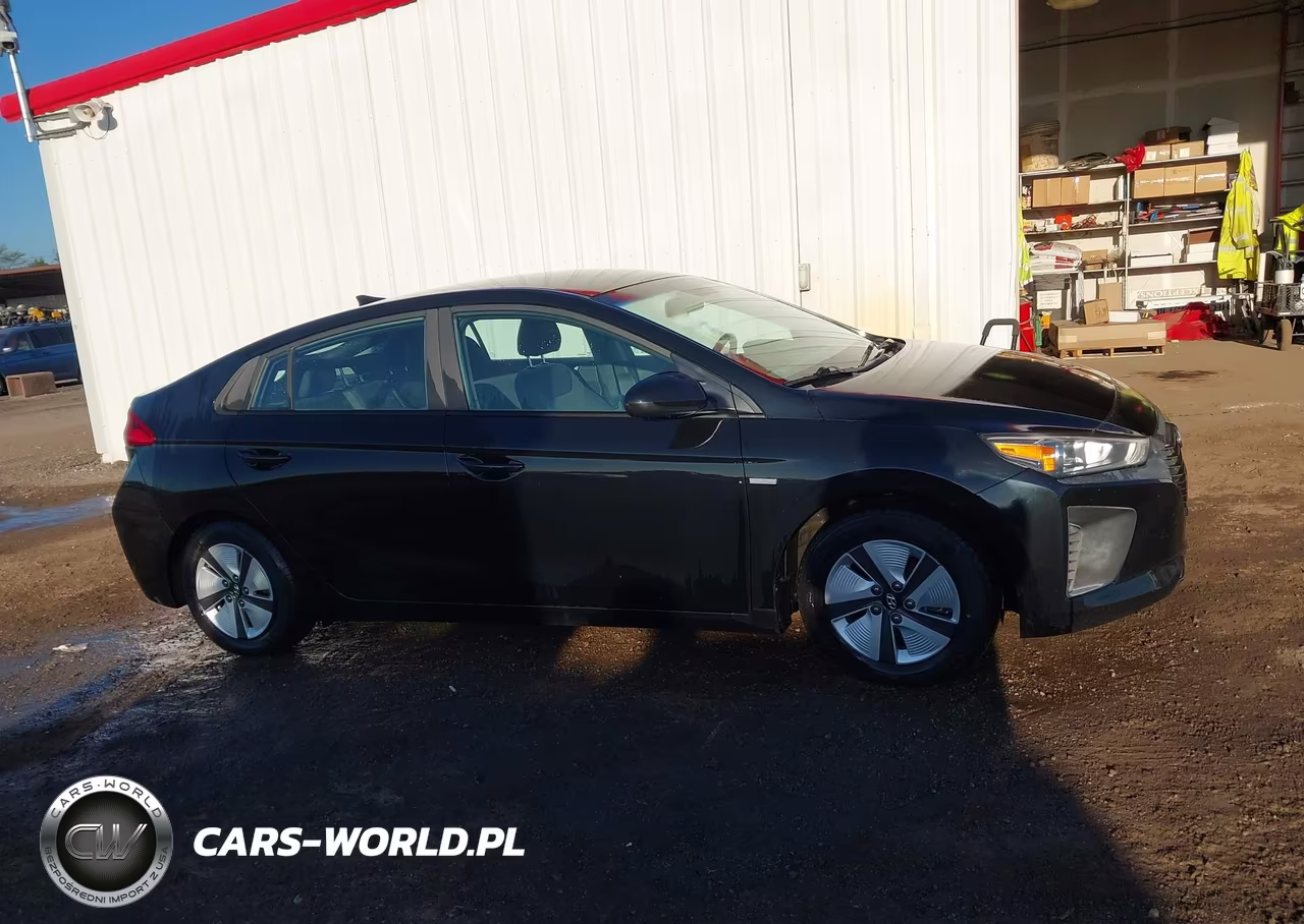 2019 Hyundai Ioniq Hybrid Blue VIN:KMHC65LC4KU156855 - 13