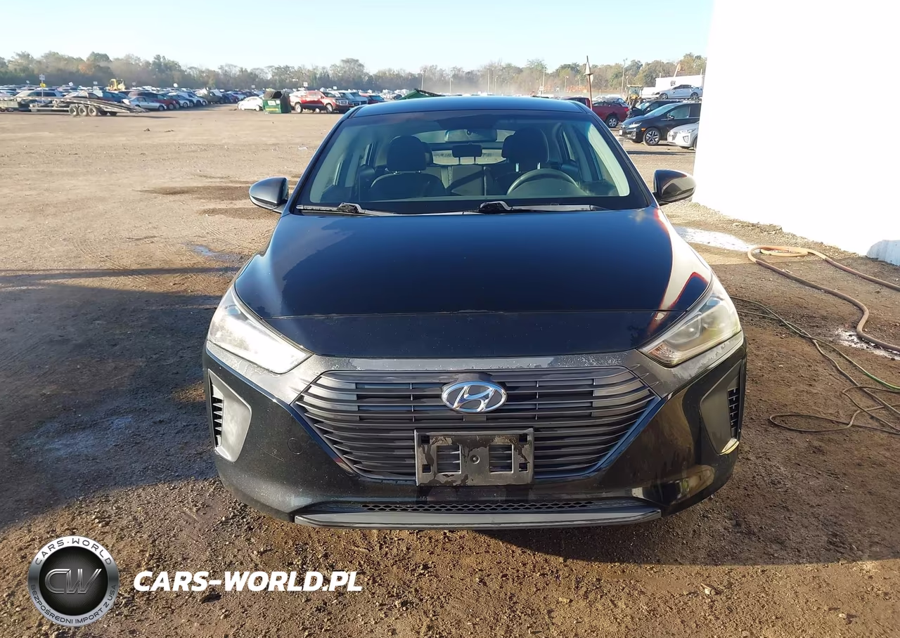 2019 Hyundai Ioniq Hybrid Blue VIN:KMHC65LC4KU156855 - 6