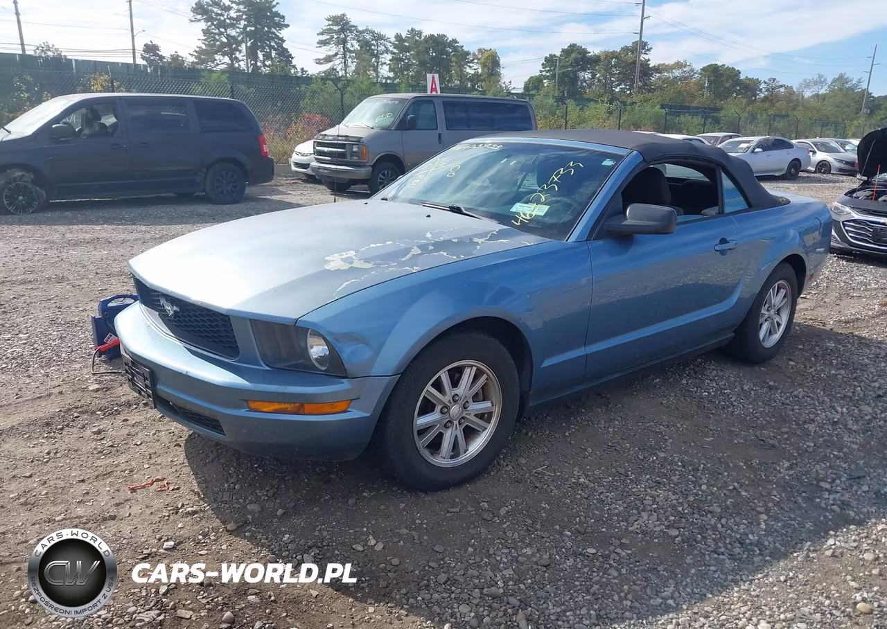 2008 Ford Mustang V6 Deluxe-V6 Premium VIN:1ZVHT84N085131617 - 2