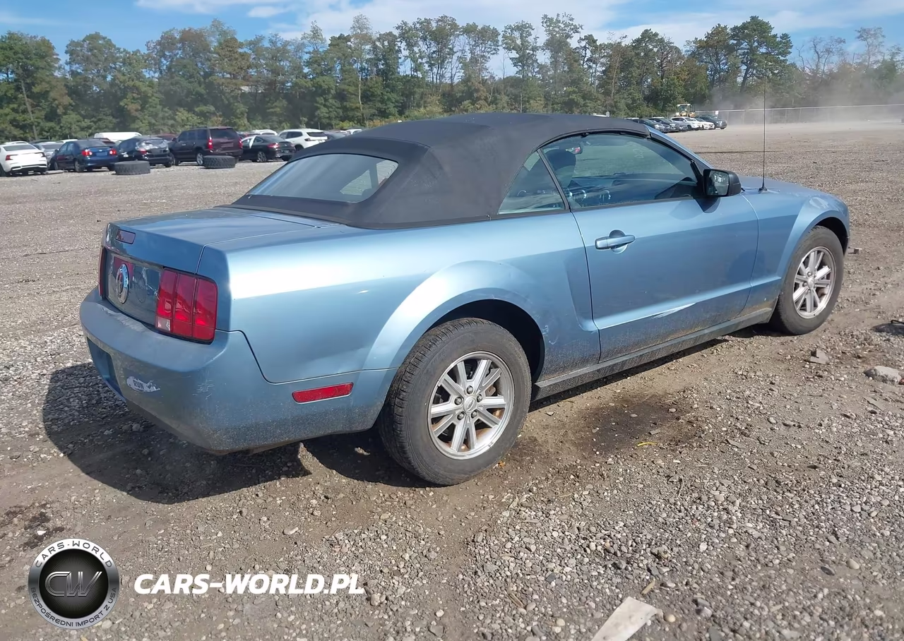 2008 Ford Mustang V6 Deluxe-V6 Premium VIN:1ZVHT84N085131617 - 4