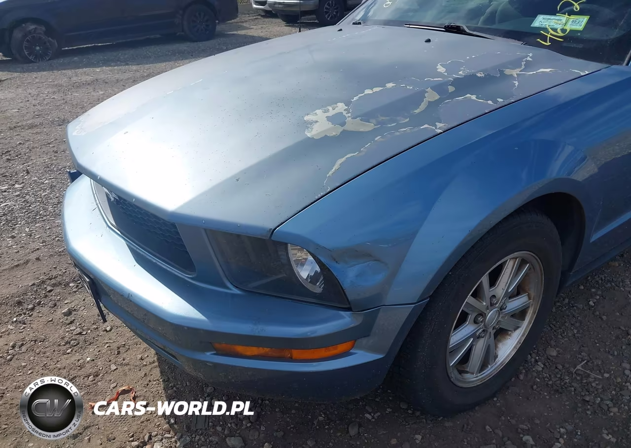 2008 Ford Mustang V6 Deluxe-V6 Premium VIN:1ZVHT84N085131617 - 6