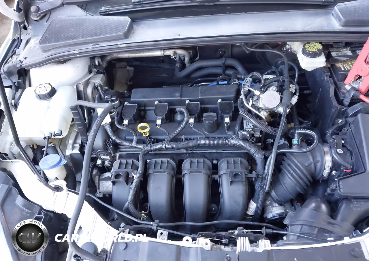 2017 Ford Focus Se VIN:1FADP3K24HL215877 - 10
