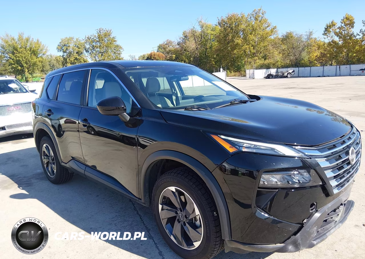 2025 Nissan Rogue Sv Fwd VIN:5N1BT3BA2SC764324 - 19