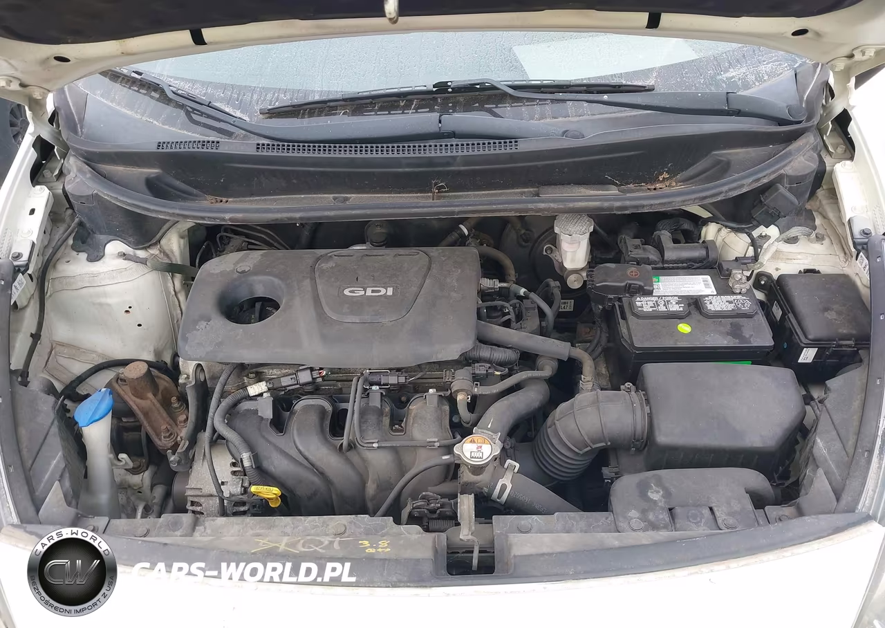 2017 Kia Rio Lx VIN:KNADM4A3XH6039982 - 10