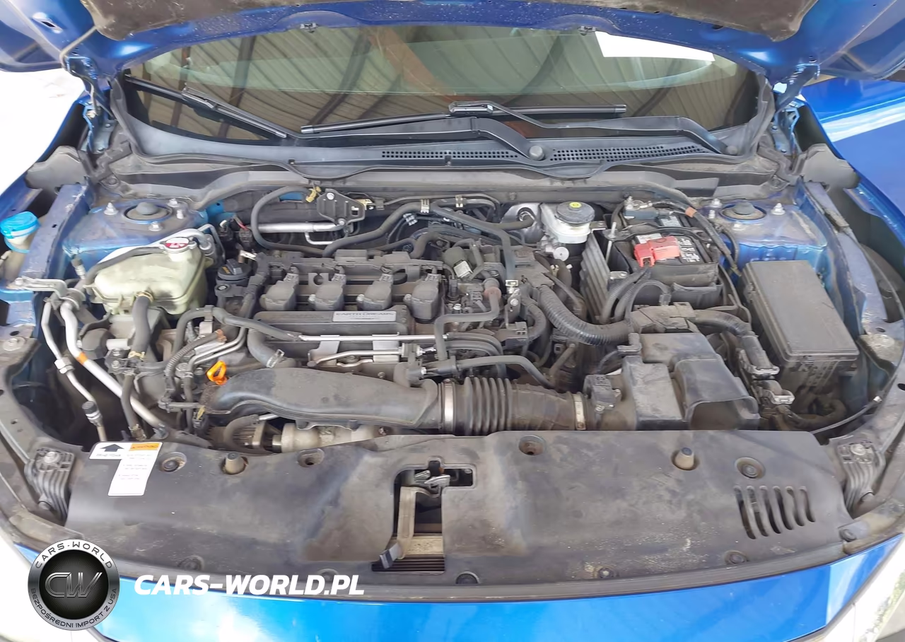 2016 Honda Civic Ex-L VIN:19XFC1F70GE016941 - 10
