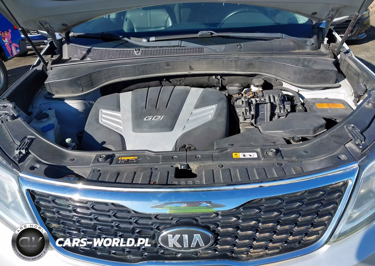 2015 Kia Sorento Ex V6 VIN:5XYKUDA75FG631457 - 10