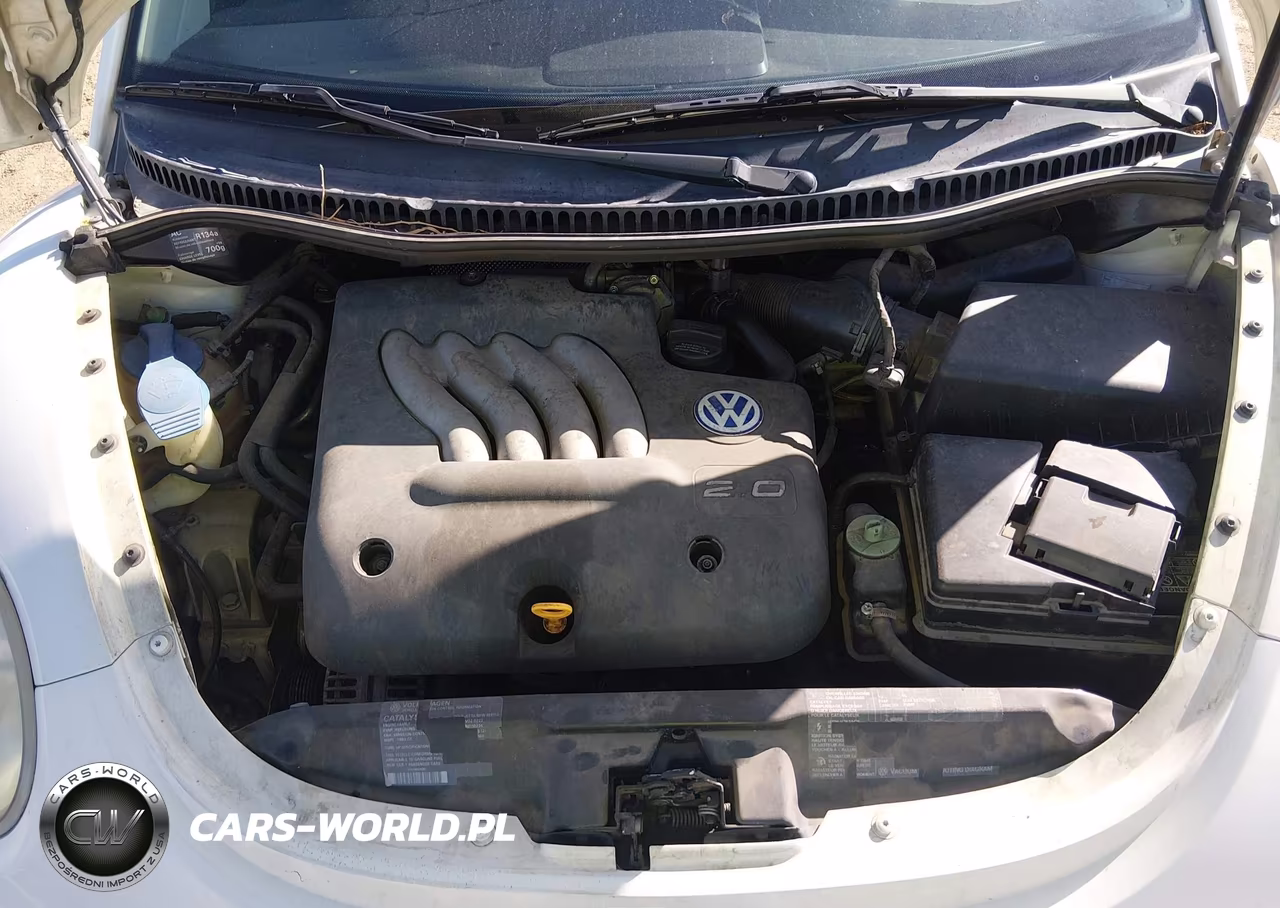 1999 Volkswagen New Beetle Gls VIN:3VWCA21C9XM412209 - 10