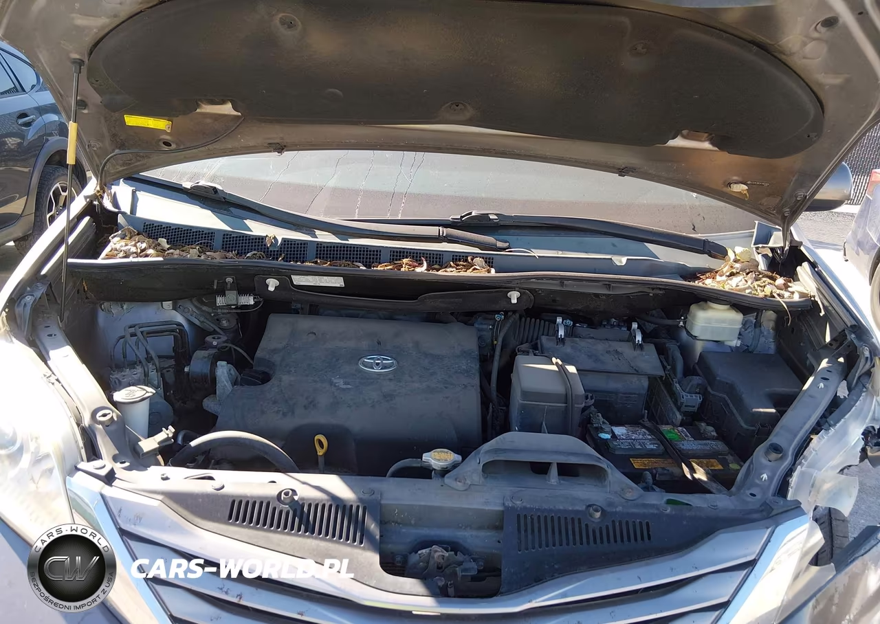 2015 Toyota Sienna Xle 8 Passenger VIN:5TDYK3DC5FS601008 - 10