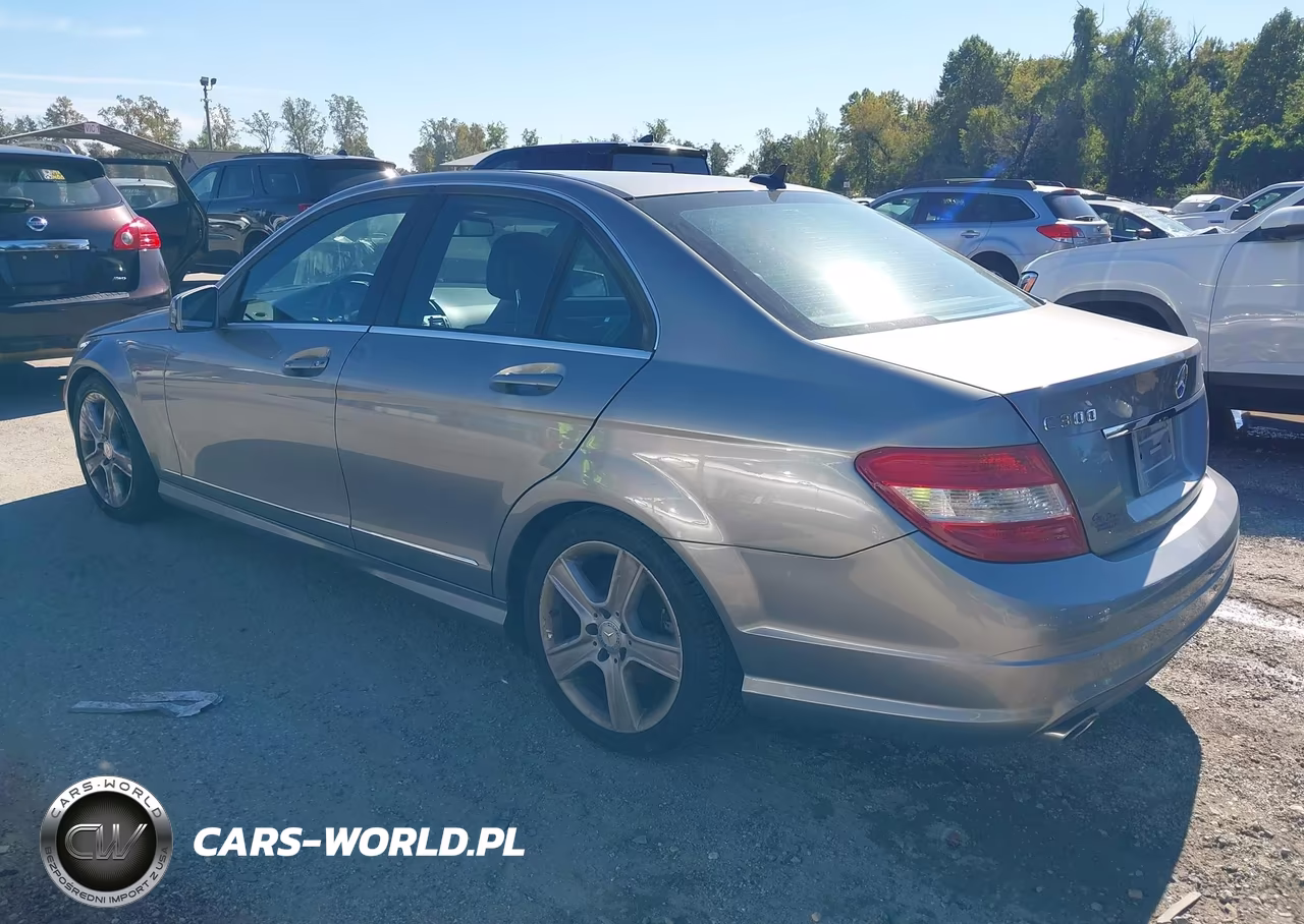 2010 Mercedes-Benz C 300 4Matic VIN:WDDGF8BBXAR106176 - 3
