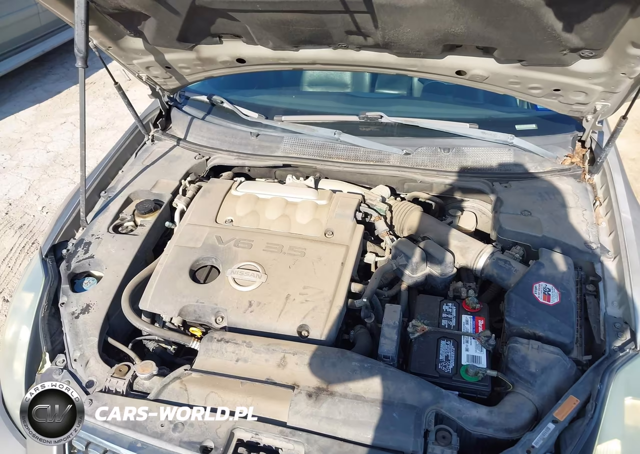 2004 Nissan Maxima 3.5 Sl VIN:1N4BA41E44C825542 - 10