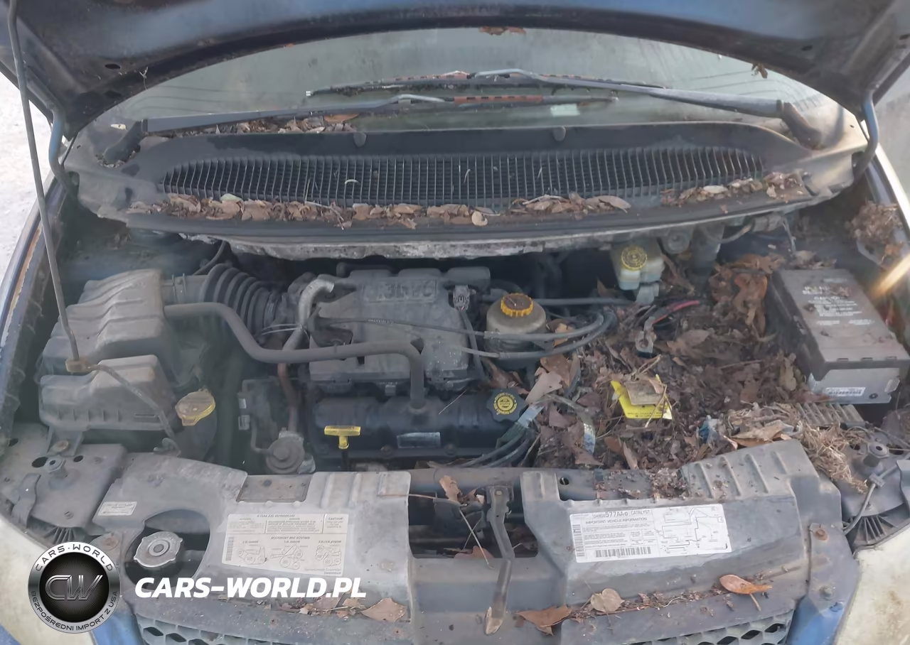 2001 Dodge Caravan Se VIN:1B4GP25331B161745 - 10