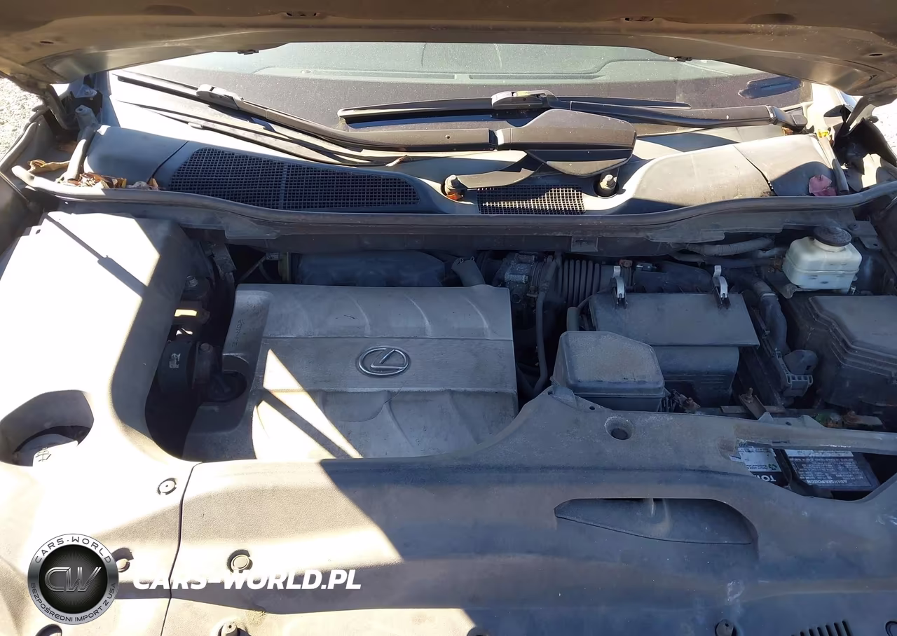 2010 Lexus Rx 350 VIN:2T2BK1BAXAC041415 - 10