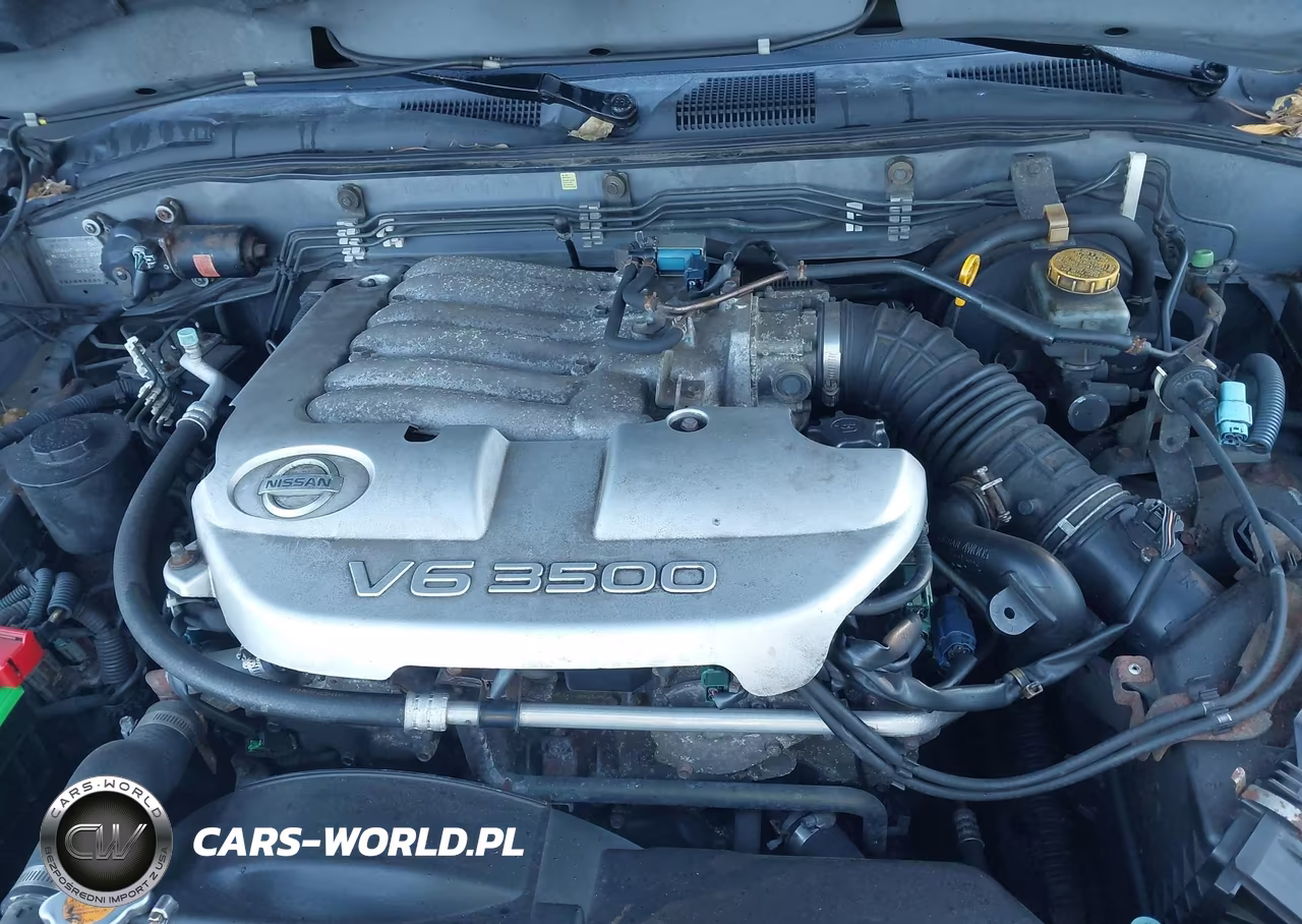2004 Nissan Pathfinder Se VIN:JN8DR09Y54W916308 - 10