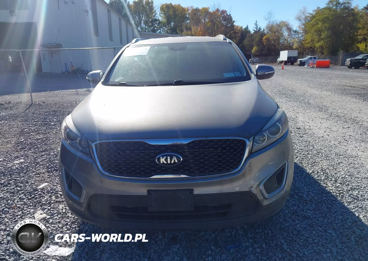 2017 Kia Sorento 3.3L Lx VIN:5XYPGDA55HG314440 - 12