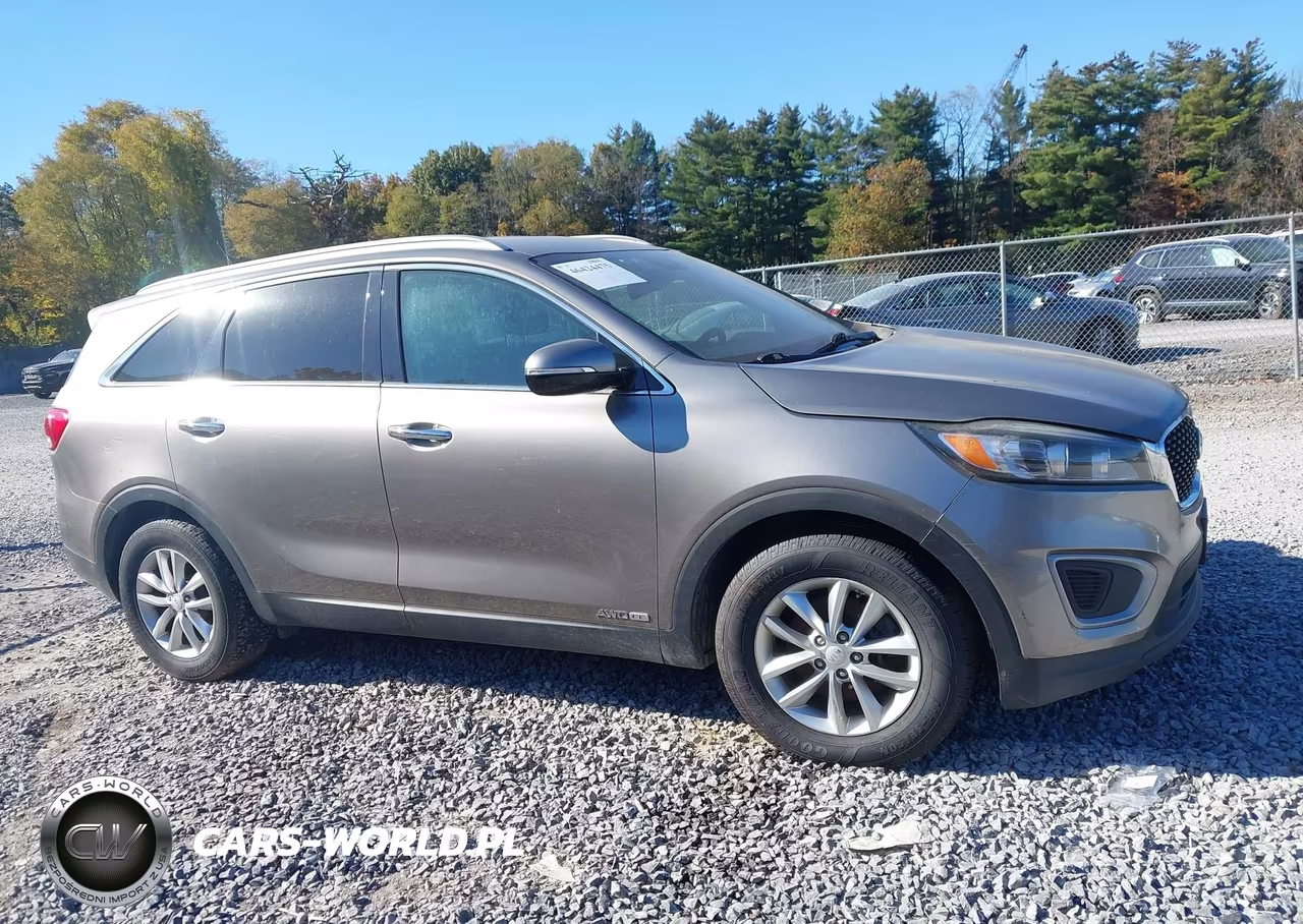 2017 Kia Sorento 3.3L Lx VIN:5XYPGDA55HG314440 - 13