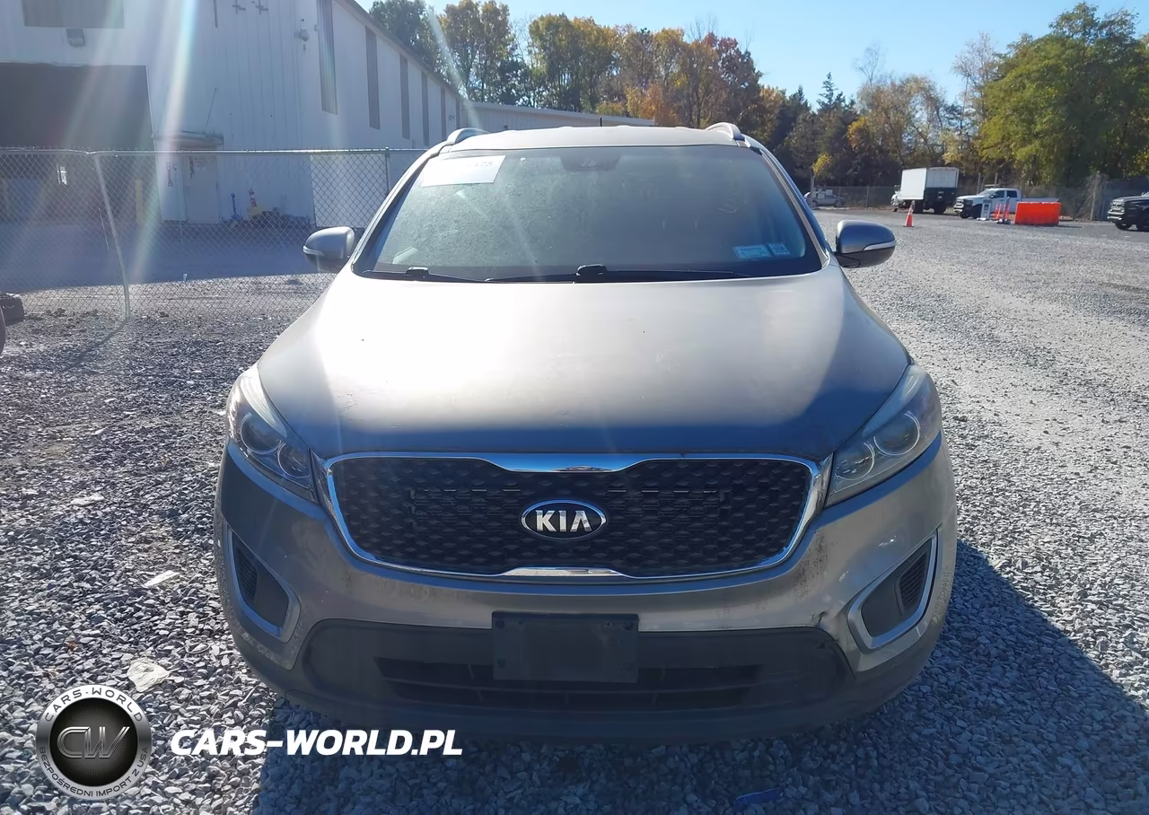 2017 Kia Sorento 3.3L Lx VIN:5XYPGDA55HG314440 - 17
