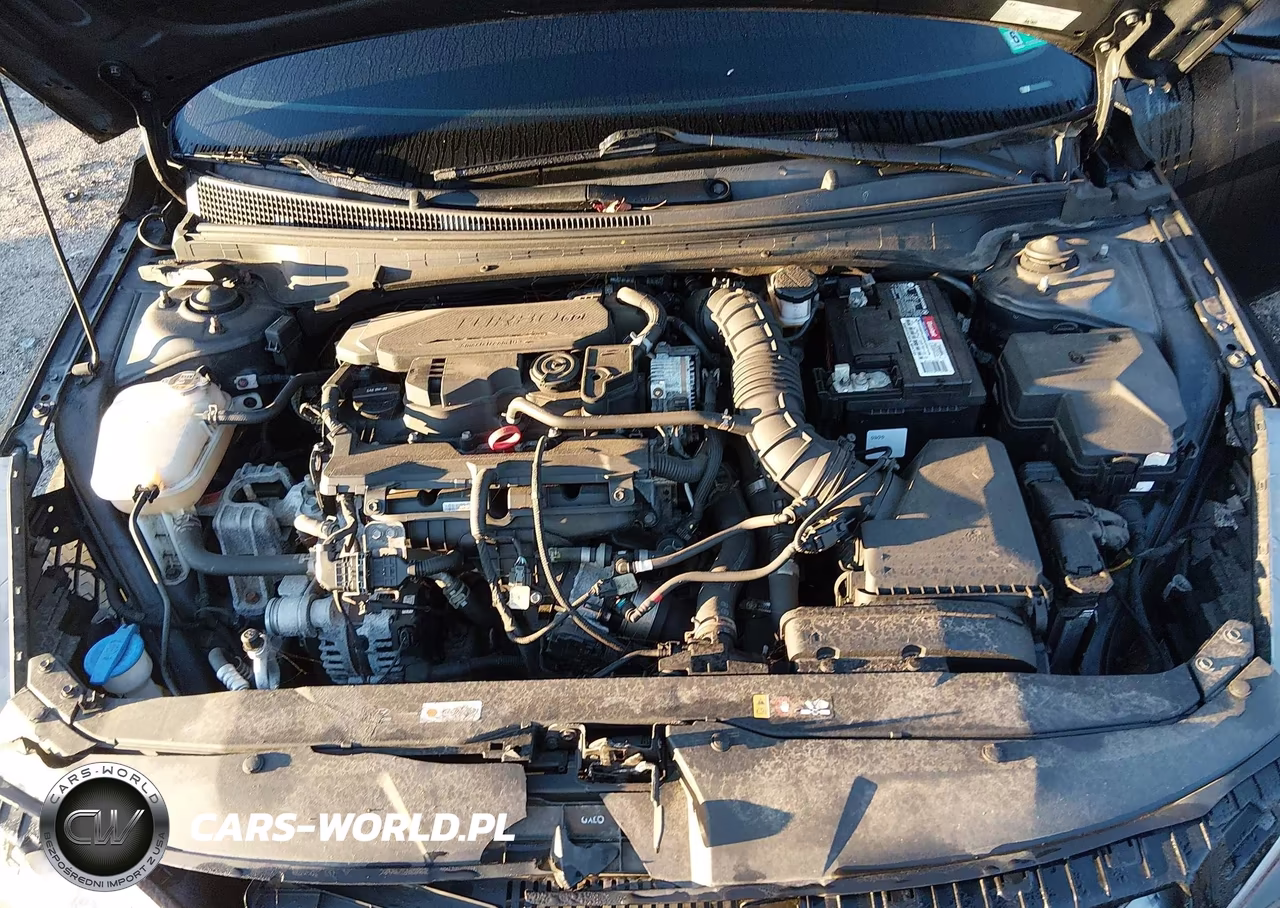 2022 Hyundai Elantra N Line VIN:KMHLR4AF5NU232912 - 10
