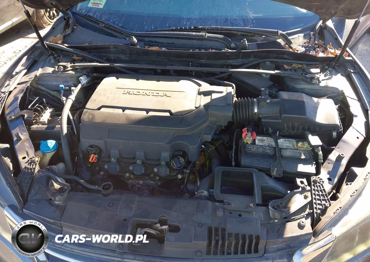 2013 Honda Accord Ex-L V-6 VIN:1HGCR3F83DA002456 - 10